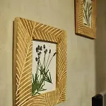 Apartman Olive