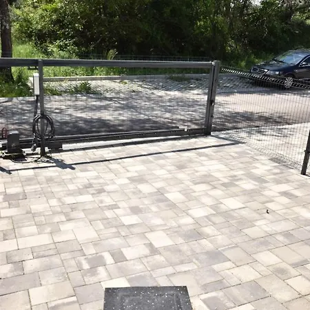 Olive Альшоэрш