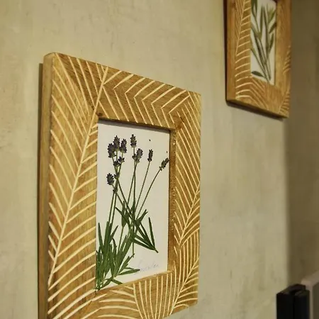 Apartamento Olive