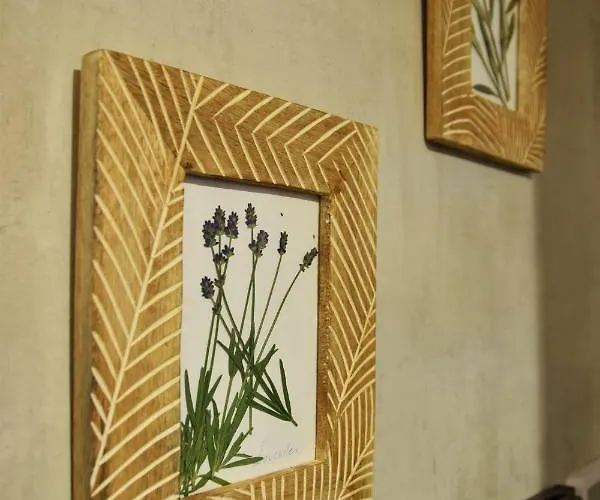 Апартаменты Olive